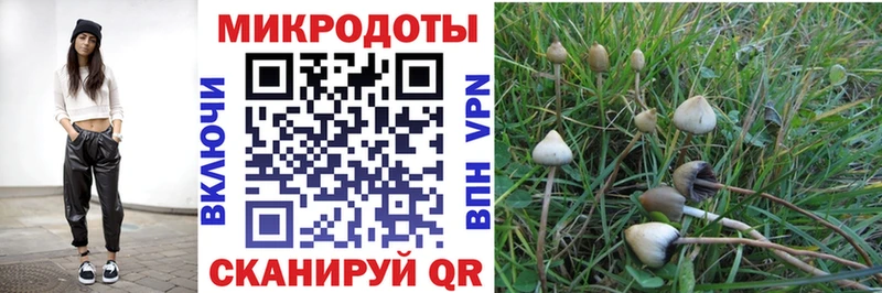 как найти закладки  Нижнеудинск  Псилоцибиновые грибы GOLDEN TEACHER 